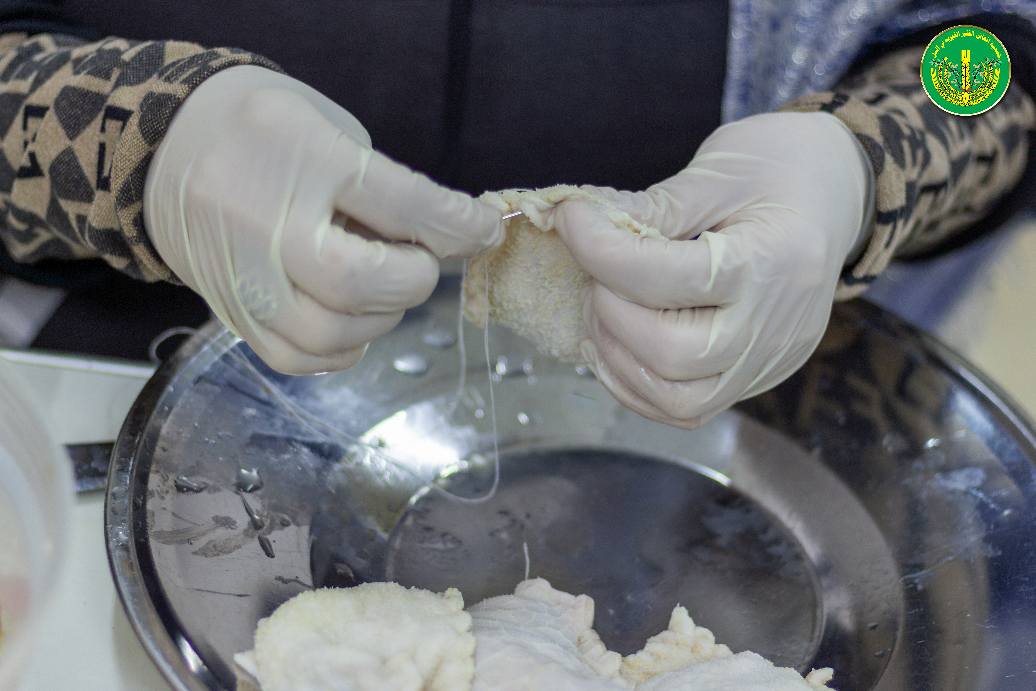 تحضير طبخة"القَشّة" في مطبخ تل الخير.💚✨